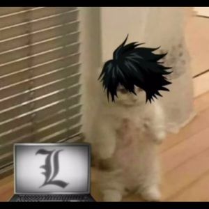 Meet your Posher, Sasha